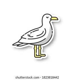 Seagull patch. Common seabird, ordinary flying animal. Beaches and coastlines inhabitant. Zoology, ornithology RGB color printable sticker. Sea mew, gull vector isolated illustration