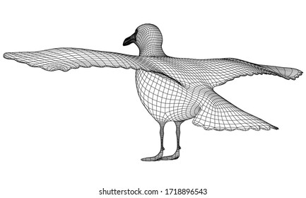 Seagull polygonal lines illustration. Abstract vector bird on the white background