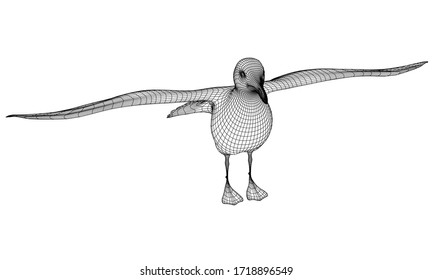 Seagull polygonal lines illustration. Abstract vector bird on the white background