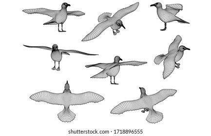 Ilustración de líneas poligonales de gaviota. Pájaro vector abstracto sobre el fondo blanco