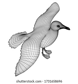 Seagull polygonal lines illustration. Abstract vector bird on the white background