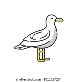 Seagull RGB color icon. Common seabird, ordinary flying animal. Beaches and coastlines inhabitant. Zoology, ornithology. Sea mew, gull isolated vector illustration
