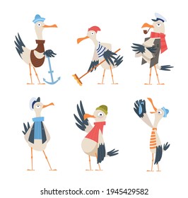 Seagull sailor. Cute funny sea or ocean bird in captain clothes exact vector character in action poses isolated