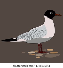 Gaviota en la ilustración del vector de arena para su diseño