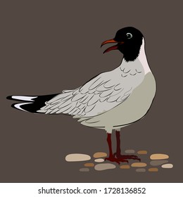Seagull in the sand vector illustration for your design