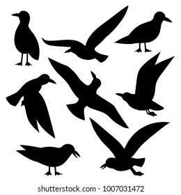 Seagull, Seabird Set Silhouettes on the white background. Sea gull, Sea bird vector set