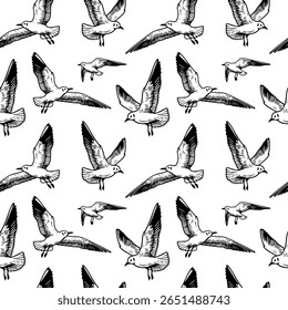 Seagull seamless pattern, texture, lines, different angles. Sea. The illustration has a simple and concise design. hand-drawn. on a white background. Vector