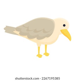 Seagull search food icon cartoon vector. Marine bird. Cute bird