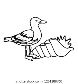 seagull with seashell