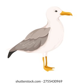 A seagull is shown in simple flat art on a white background, conveying nature and wildlife concept. Vector illustration