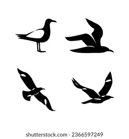Seagull silhouette black white logo icon design template