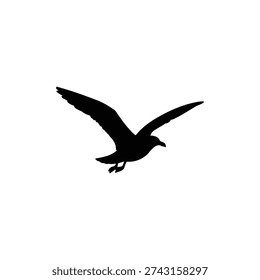 Seagull silhouette icon vector illustration.


