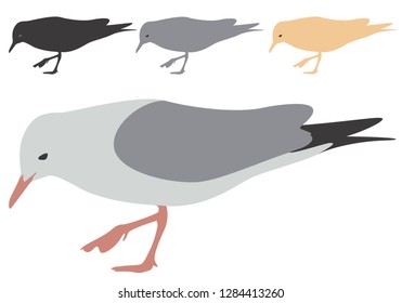 Seagull Silhouette isolated