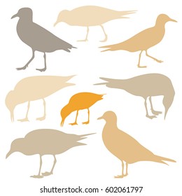 Seagull Silhouette isolated