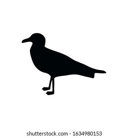Seagull silhouette Isolated on a white background. Standing sea gull .Vector illustration.