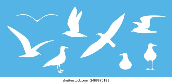 Seagull silhouette. Isolated seagull on white background. Bird