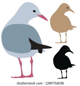 Seagull Silhouette isolated - Vector 