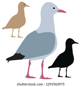 Seagull Silhouette isolated - Vector 