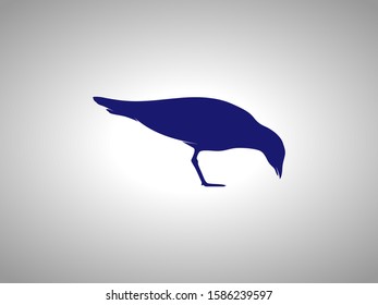 seagull silhouette on white background. isolated vector animal