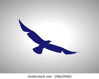 seagull silhouette on white background. isolated vector animal