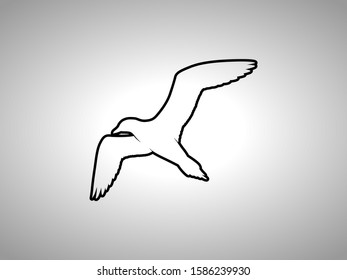 seagull silhouette on white background. isolated vector animal