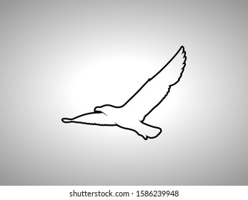 seagull silhouette on white background. isolated vector animal