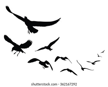 Oiseau En Vol Stock Vectors Images Vector Art Shutterstock