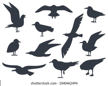 Seagull silhouette set isolated on white background vector. Set flying seagull. Black birds on a white background.