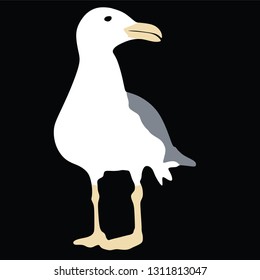 Seagull silhouette, vector