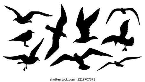 Seagull silhouette vector set. Many birds sea gulls black outline on white background. Seagulls flock flight cutter template contour cut file stencil.