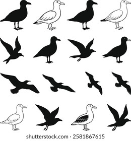 Seagull Silhouettes Bird Clipart, Seagull Silhouettes and Drawings Illustration