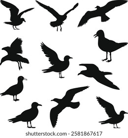 Seagull Silhouettes Bird Clipart, Seagull Silhouettes and Drawings Illustration