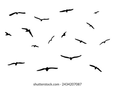 Seagull silhouettes collection isolated on white background. Flying birds outline vector illustration
