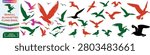 Seagull silhouettes, flying birds vector set, black silhouette seagulls, vector illustration