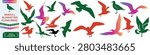 Seagull silhouettes, flying birds vector set, black silhouette seagulls, vector illustration