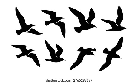Seagull silhouettes, flying birds vector set, black silhouette seagulls, vector illustration