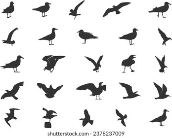 Seagull silhouettes, Flying seagull silhouette, Seagull vector, Bird icon, Bird silhouettes