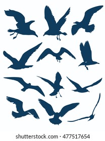 seagull silhouettes on the white background