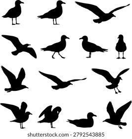 Seagull silhouettes in various flying and standing poses