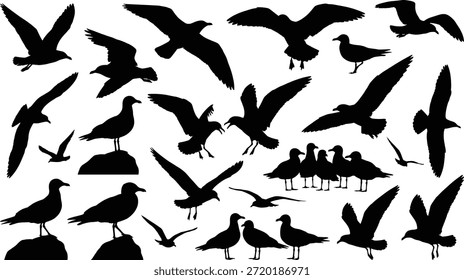 Ilustración vectorial de siluetas de gaviota, pájaros voladores y parados, diseño de vida silvestre costera, Formas negras sobre fondo blanco, Clipart de naturaleza editable, movimiento aviar, tema de playa, poses artísticas de aves, gráficos de animales marinos