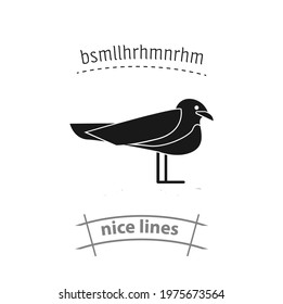 seagull simple vector icon. seagull simple vector icon. seagull simple vector icon. 