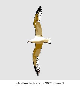Seagull single on the sky flying 