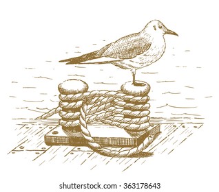 Seagull Sitting On A Bollard Drawn By Hand