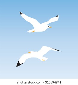 Seagull in the sky. Illustration, elements for design.