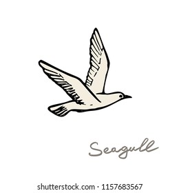 seagull in the sky vector illustration.