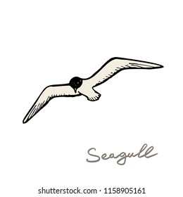 seagull-sky-vector-illustration-260nw-1158905161.jpg