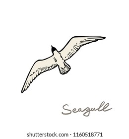 seagull in the sky vector illustration.