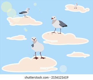 Seagull ssitting in white clouds, cartoon atlantic seabird. Sea, Ocean, Gull, bird set in a vector flat style. Big oceangull pack isolated on sky background. Sun shining and glares.