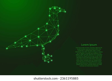 Seagull standing on its feet, seabird, from futuristic polygonal green lines and glowing stars for banner, poster, greeting card
