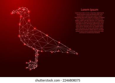 Seagull standing on paws, seabird, from futuristic polygonal red lines and glowing stars for banner, poster, greeting card. Low poly concept. Vector illustration.

